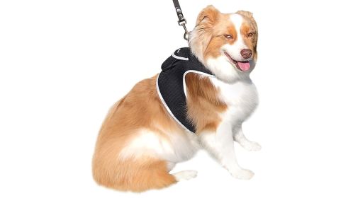 Realtime Mini GSM GPS Puppy Tracker Portable Pet Finder w/ Geo-fencing Size:XXL