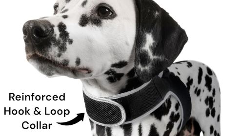 Small GPS Puppy Tracker Realtime GSM GPRS Waterproof Tracking Device Size:XXL